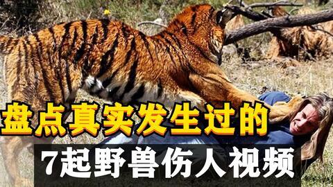 最新爆料斩虎事件视频大全,揭秘最新爆料事件视频大全 第1张 最新爆料斩虎事件视频大全,揭秘最新爆料事件视频大全 第1张