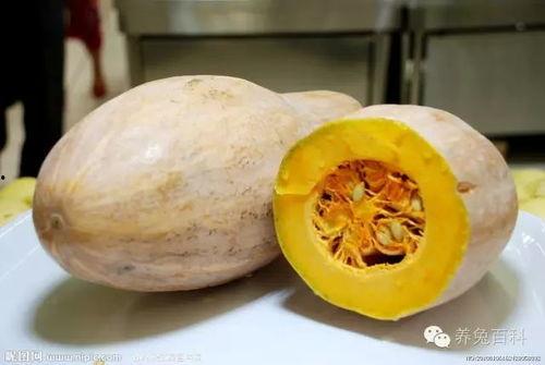 甘肃陇南康县吃瓜网红,网红带你尝鲜陇南美味  第2张